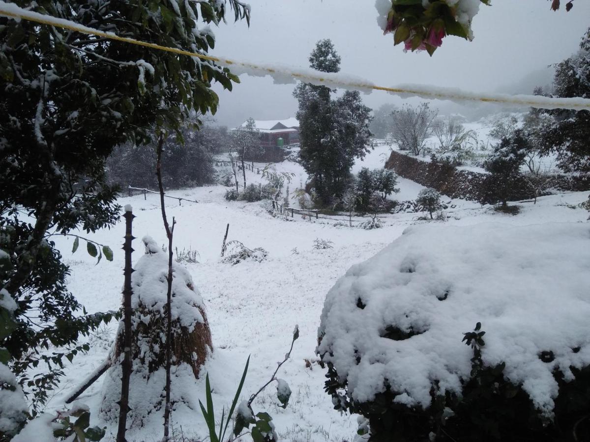 Maa Anand Mayee Guest House Panuānaula Dış mekan fotoğraf