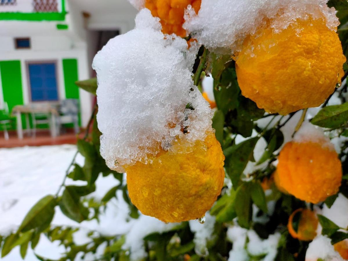 Maa Anand Mayee Guest House Panuānaula Dış mekan fotoğraf