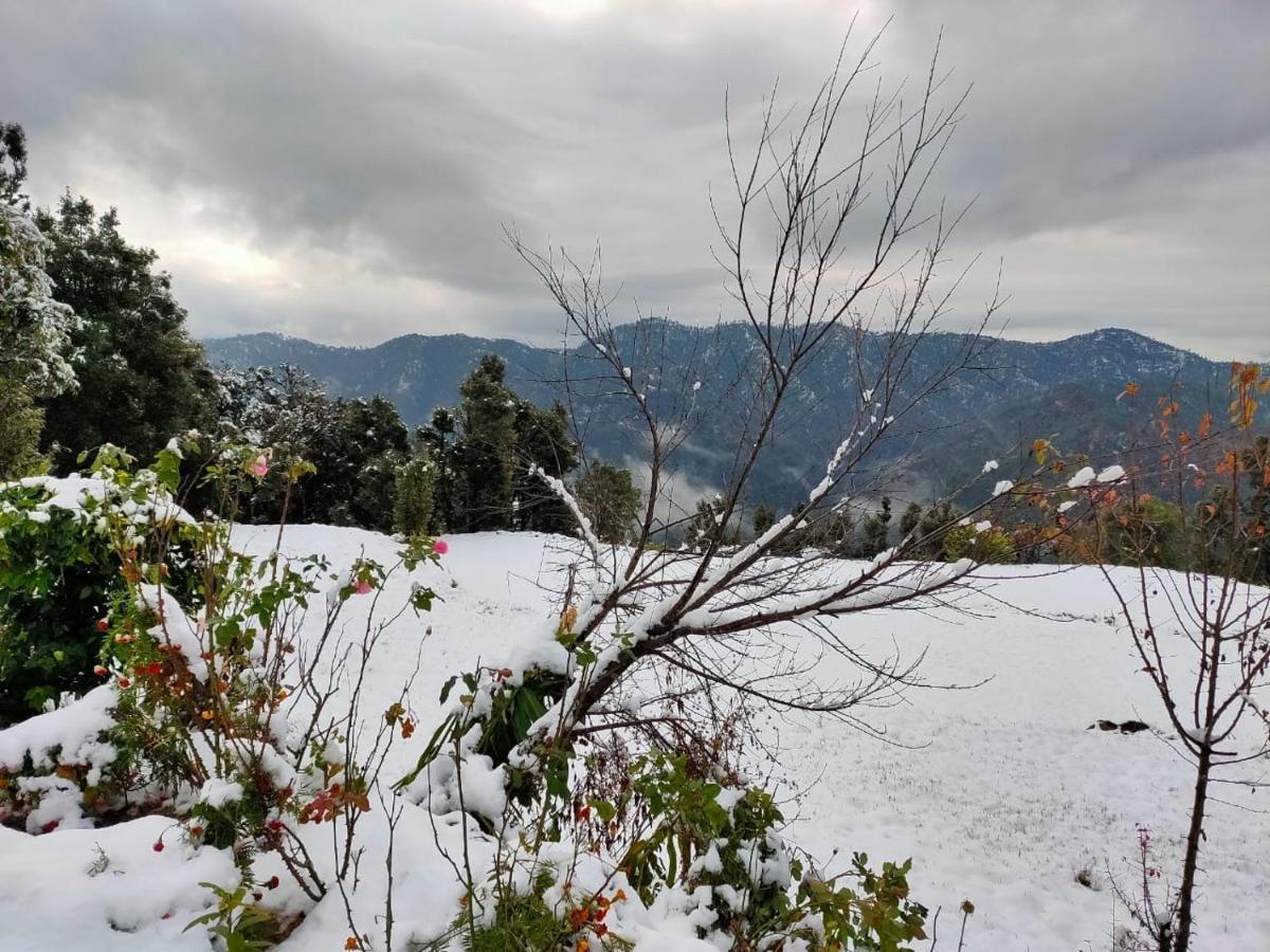 Maa Anand Mayee Guest House Panuānaula Dış mekan fotoğraf